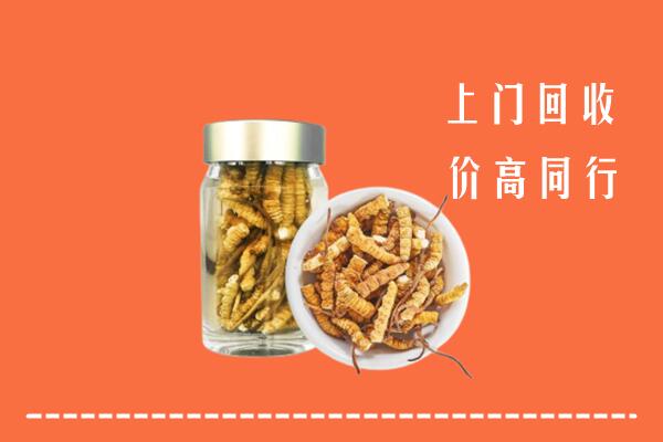 莆田市涵江回收冬虫夏草