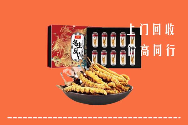 莆田市涵江回收虫草